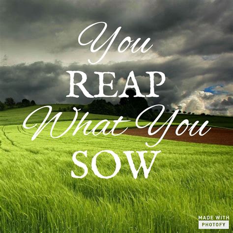 download Reap What You Sow (Reap #1)